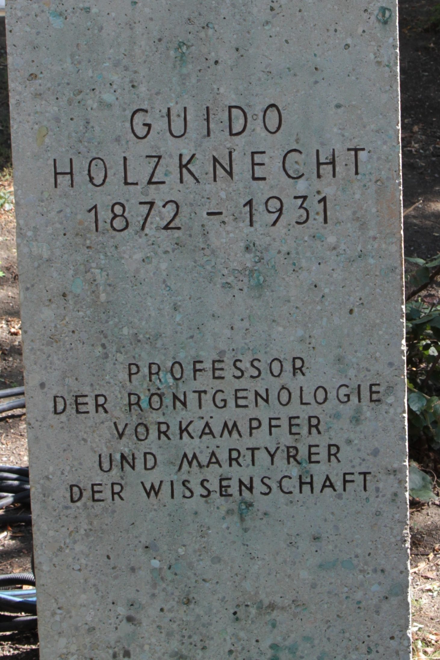 Guido%20Holzknecht%27s%20monument%2C%20Vienna%20-%2005.JPG